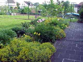OK, this is the last shot of the garden.  You can hit the back button now or go to a different site.  Class dismissed.